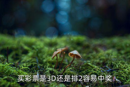 買(mǎi)彩票是3D還是排2容易中獎