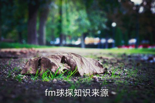 fm球探知識來源