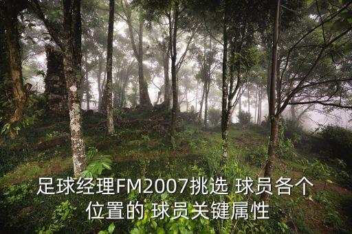 足球經(jīng)理FM2007挑選 球員各個(gè) 位置的 球員關(guān)鍵屬性