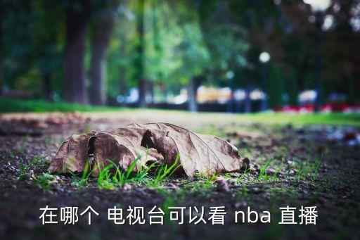 在哪個(gè) 電視臺可以看 nba 直播