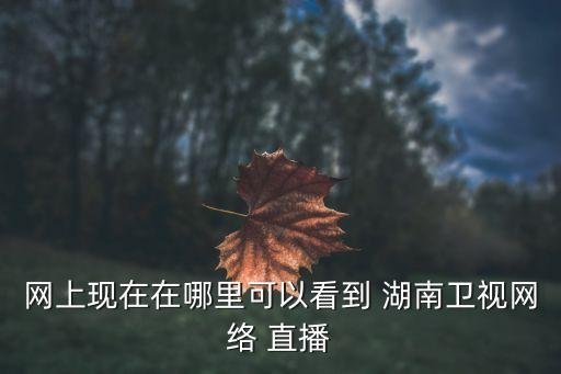 網(wǎng)上現在在哪里可以看到 湖南衛視網(wǎng)絡(luò ) 直播