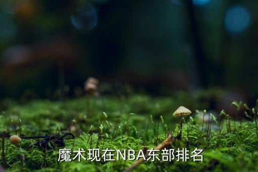  魔術(shù)現在NBA東部排名