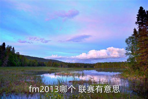  fm2013哪個(gè) 聯(lián)賽有意思