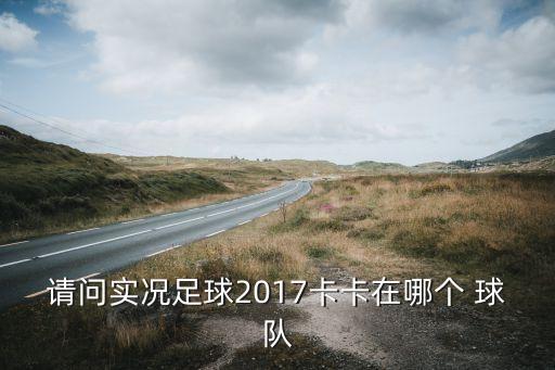 請問實況足球2017卡卡在哪個 球隊