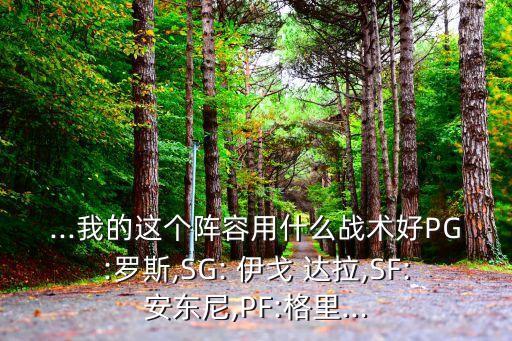 ...我的這個陣容用什么戰(zhàn)術(shù)好PG:羅斯,SG: 伊戈 達(dá)拉,SF:安東尼,PF:格里...