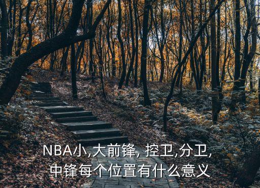 NBA小,大前鋒, 控衛(wèi),分衛(wèi), 中鋒每個位置有什么意義