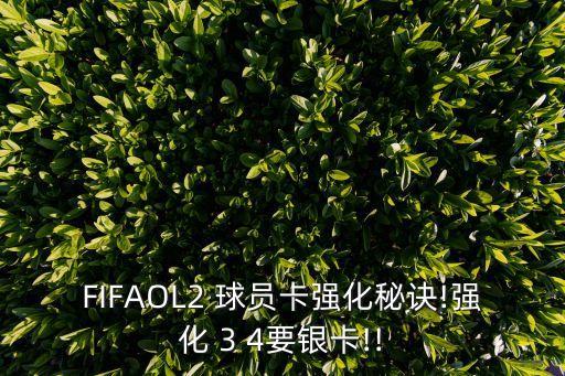 FIFAOL2 球員卡強(qiáng)化秘訣!強(qiáng)化 3 4要銀卡!!