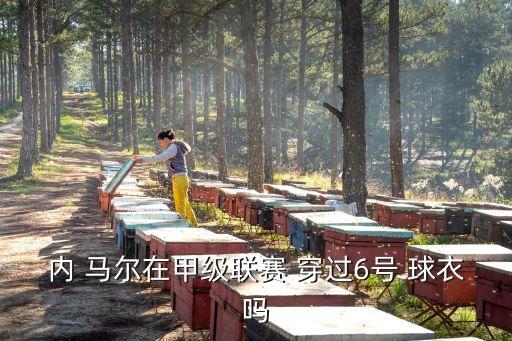 足球內(nèi)馬爾穿過(guò)幾號(hào)球衣
