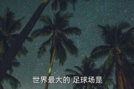  世界最大的 足球場是