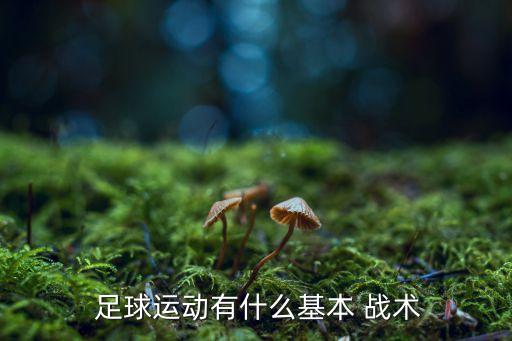  足球運(yùn)動有什么基本 戰(zhàn)術(shù)