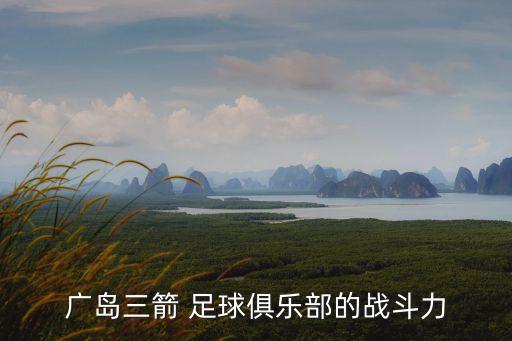廣島三箭 足球俱樂部的戰(zhàn)斗力