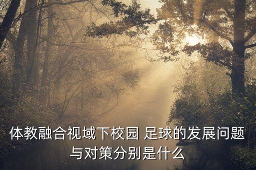 體教融合視域下校園 足球的發(fā)展問題與對策分別是什么