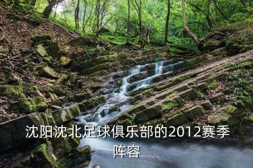 沈陽(yáng)足球隊(duì)有幾個(gè)隊(duì),足球隊(duì)一隊(duì)幾個(gè)人
