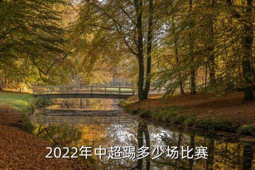 2022年中超踢多少場比賽