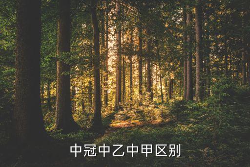合肥市足球乙級聯(lián)賽,法國足球乙級聯(lián)賽比分