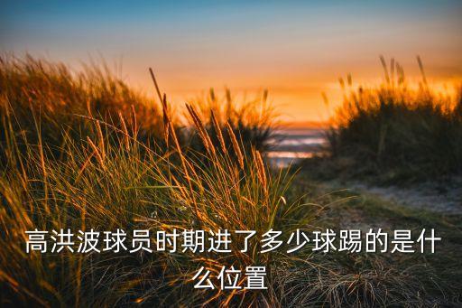 中韓 足球 高洪波,足球運動員高洪波的簡介