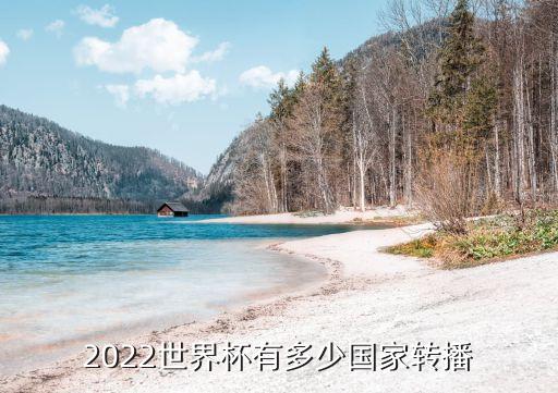 2022世界杯有多少國家轉(zhuǎn)播