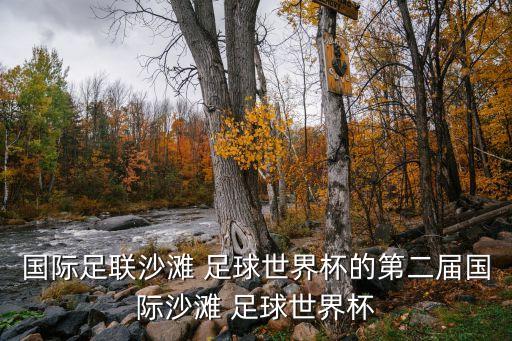 國際足聯(lián)沙灘 足球世界杯的第二屆國際沙灘 足球世界杯