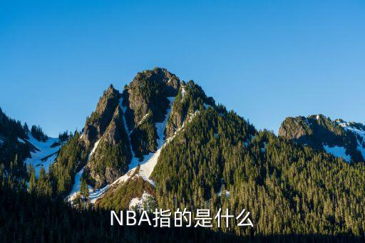 NBA指的是什么