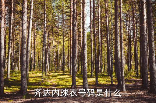 齊達(dá)內(nèi)球衣號碼是什么