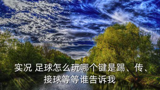  實(shí)況 足球怎么玩哪個(gè)鍵是踢、傳、接球等等誰告訴我