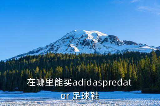 在哪里能買(mǎi)adidaspredator 足球鞋