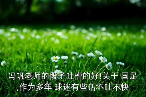 國(guó)足球迷評(píng)論,現(xiàn)場(chǎng)國(guó)足球迷懵了