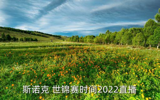 足球世錦賽比賽時(shí)間,2022年足球世界杯比賽時(shí)間