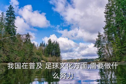 我國(guó)在普及 足球文化方面,需要做什么努力