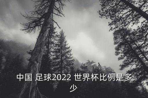 中國 足球2022 世界杯比例是多少