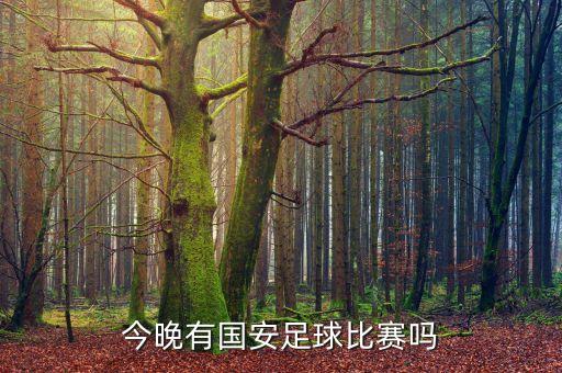 今晚有國安足球比賽嗎