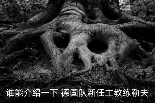 誰能介紹一下 德國隊新任主教練勒夫