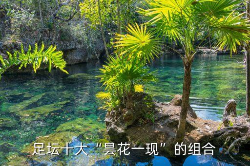 足壇十大“曇花一現(xiàn)”的組合