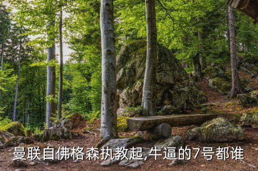 曼聯(lián)自佛格森執(zhí)教起,牛逼的7號(hào)都誰(shuí)
