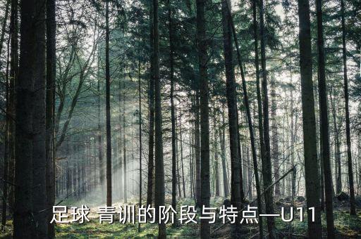  足球 青訓(xùn)的階段與特點—U11