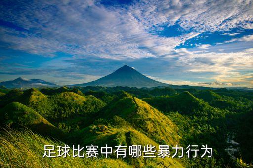  足球比賽中有哪些暴力行為