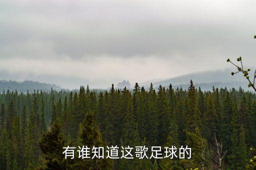 有誰(shuí)知道這歌足球的