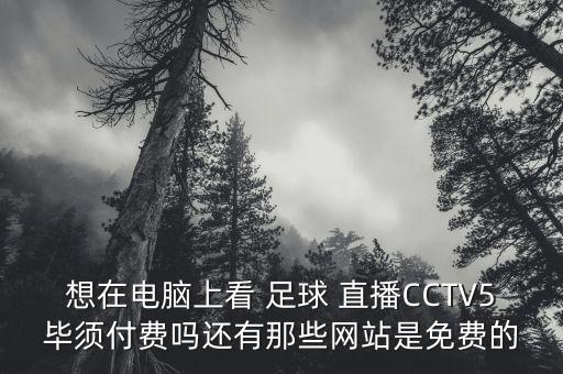 想在電腦上看 足球 直播CCTV5畢須付費(fèi)嗎還有那些網(wǎng)站是免費(fèi)的