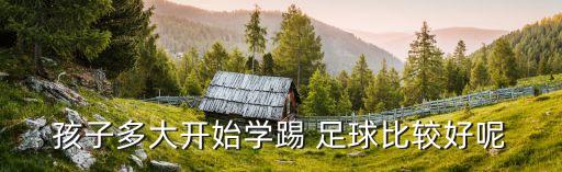 孩子多大開始學(xué)踢 足球比較好呢