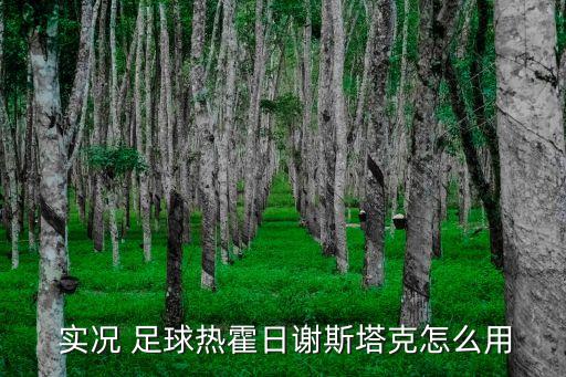 實(shí)況足球2017十大中場(chǎng)