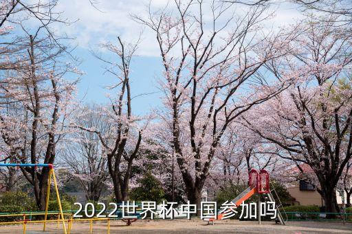中國(guó)杯足球賽決賽,2020中國(guó)杯足球賽