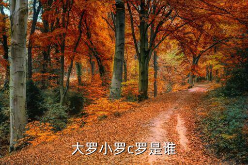 慈天足球運(yùn)動(dòng)員,出名的足球運(yùn)動(dòng)員哪些?