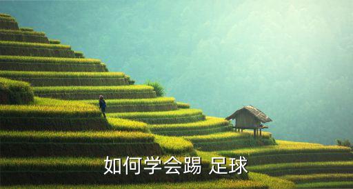 如何學(xué)會踢 足球