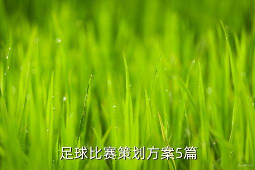  足球比賽策劃方案5篇