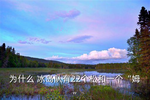 冰島足球隊(duì)守門員哈爾多松