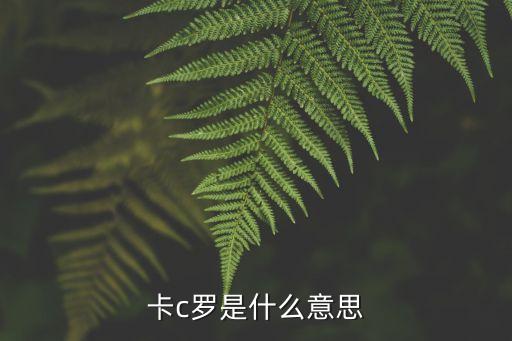 前世界足球先生卡卡宣布退役,卡卡世界足球先生2007