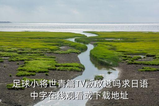  足球小將世青篇TV版放過嗎求日語中字在線觀看或下載地址