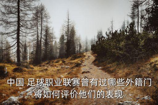 中國 足球職業(yè)聯(lián)賽曾有過哪些外籍門將如何評價(jià)他們的表現(xiàn)