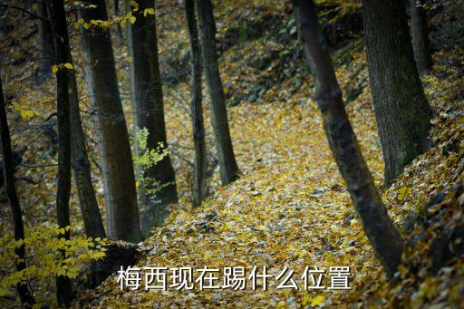 梅西足球運動員