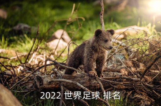 2022 世界足球 排名